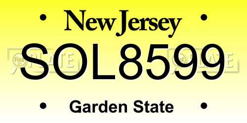 SOL8599 New Jersey License Plate
