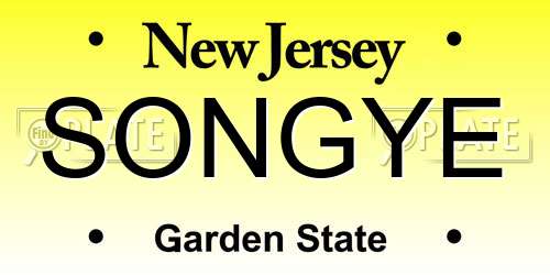 SONGYE New Jersey License Plate