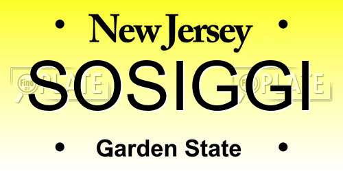 SOSIGGI New Jersey License Plate