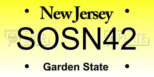 SOSN42 New Jersey License Plate