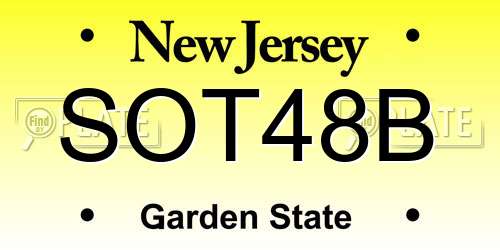 SOT48B New Jersey License Plate