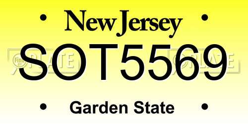 SOT5569 New Jersey License Plate