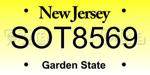 SOT8569 New Jersey License Plate