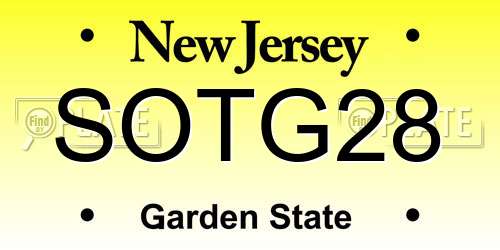 SOTG28 New Jersey License Plate