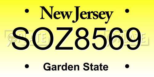 SOZ8569 New Jersey License Plate