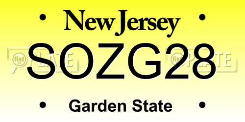SOZG28 New Jersey License Plate
