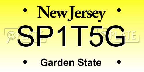 SP1T5G New Jersey License Plate
