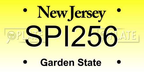 SPI256 New Jersey License Plate