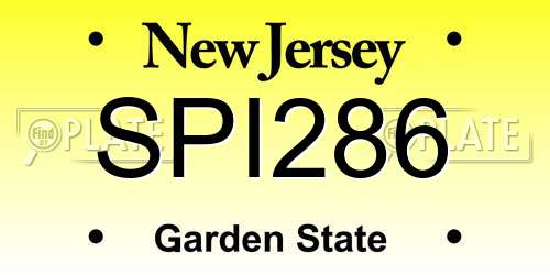SPI286 New Jersey License Plate