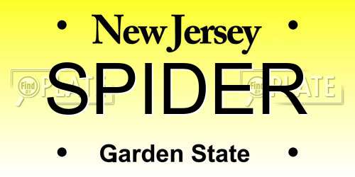 SPIDER New Jersey License Plate