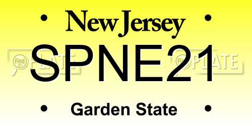 SPNE21 New Jersey License Plate