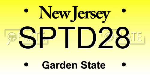 SPTD28 New Jersey License Plate