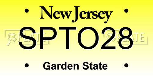 SPTO28 New Jersey License Plate