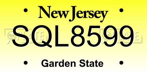 SQL8599 New Jersey License Plate