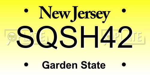 SQSH42 New Jersey License Plate