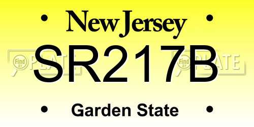 SR217B New Jersey License Plate