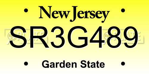 SR3G489 New Jersey License Plate