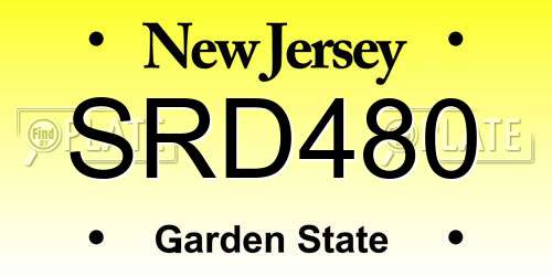 SRD480 New Jersey License Plate