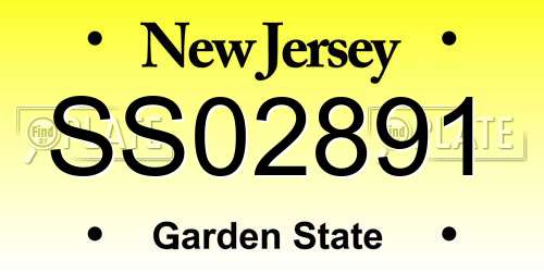 SS02891 New Jersey License Plate