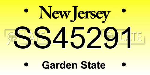 SS45291 New Jersey License Plate