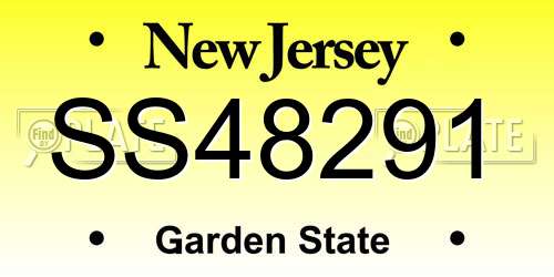 SS48291 New Jersey License Plate