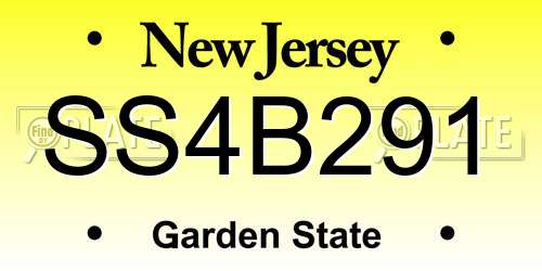 SS4B291 New Jersey License Plate