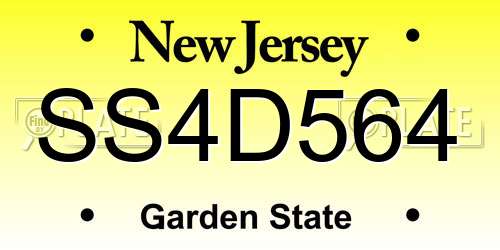 SS4D564 New Jersey License Plate