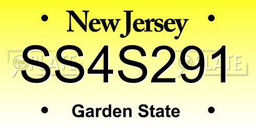 SS4S291 New Jersey License Plate