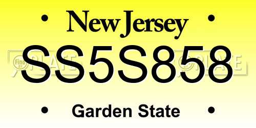 SS5S858 New Jersey License Plate