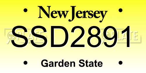 SSD2891 New Jersey License Plate