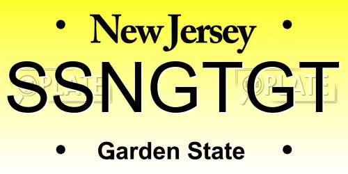 SSNGTGT New Jersey License Plate