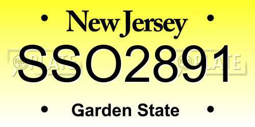 SSO2891 New Jersey License Plate