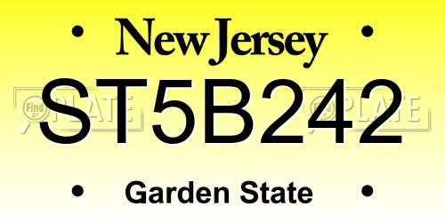 ST5B242 New Jersey License Plate