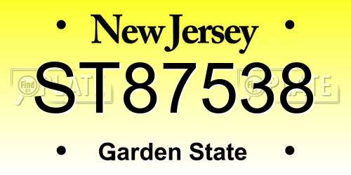 ST87538 New Jersey License Plate