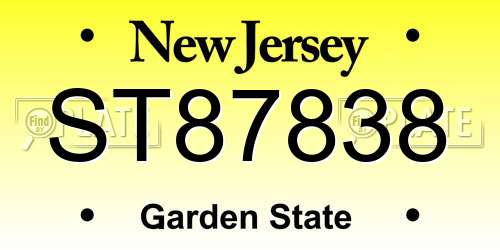 ST87838 New Jersey License Plate