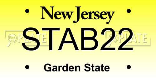 STAB22 New Jersey License Plate