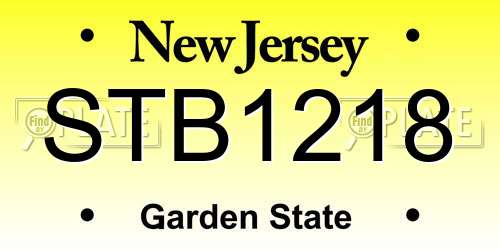 STB1218 New Jersey License Plate
