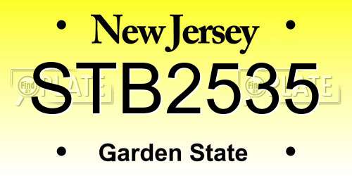 STB2535 New Jersey License Plate