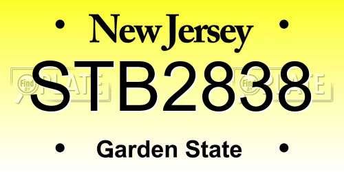 STB2838 New Jersey License Plate
