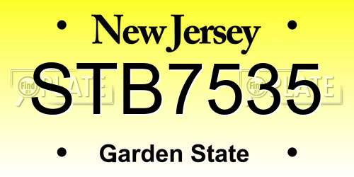 STB7535 New Jersey License Plate