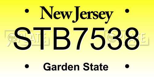 STB7538 New Jersey License Plate