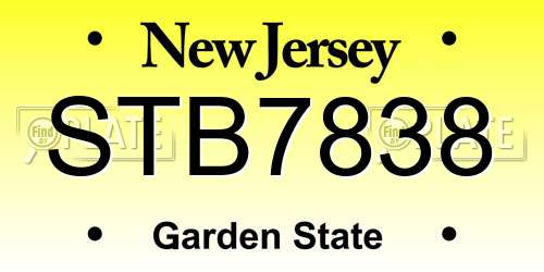 STB7838 New Jersey License Plate