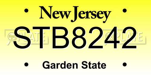 STB8242 New Jersey License Plate