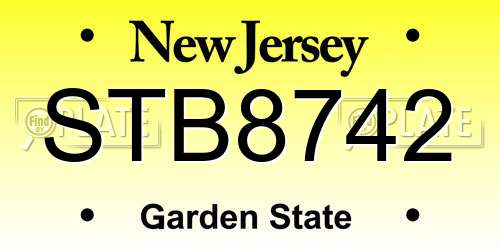 STB8742 New Jersey License Plate