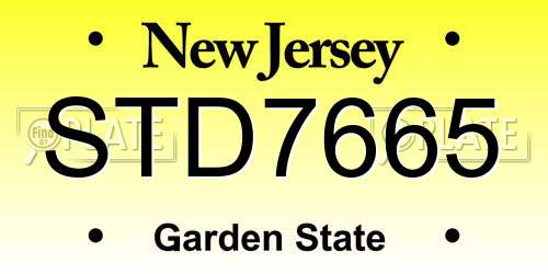 STD7665 New Jersey License Plate