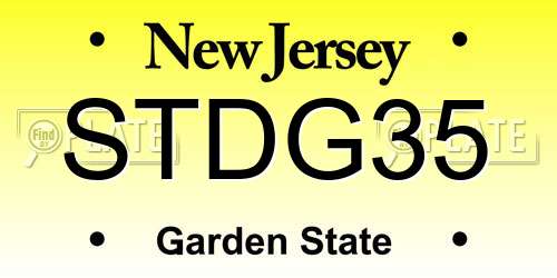 STDG35 New Jersey License Plate