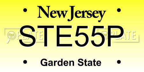 STE55P New Jersey License Plate