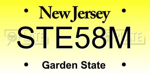 STE58M New Jersey License Plate