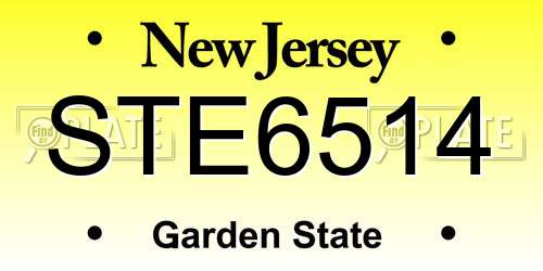 STE6514 New Jersey License Plate