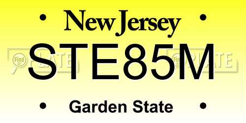 STE85M New Jersey License Plate